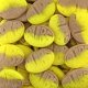 Mix BUBS 500 g