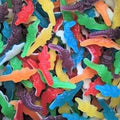 DULCEPLUS Cocodrilos – Crocodiles Lisses - Bonbons | Sweet's Family